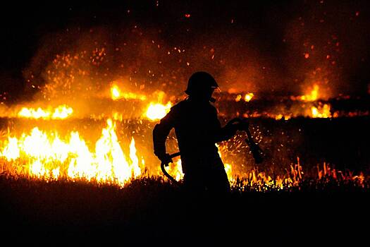 Обнаружено усиление лесных пожаров